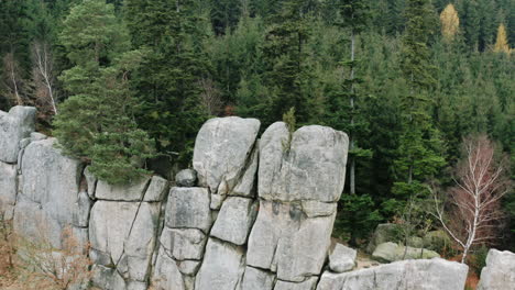 coniferous forest in autumn behind a large stone wall massif,czechia