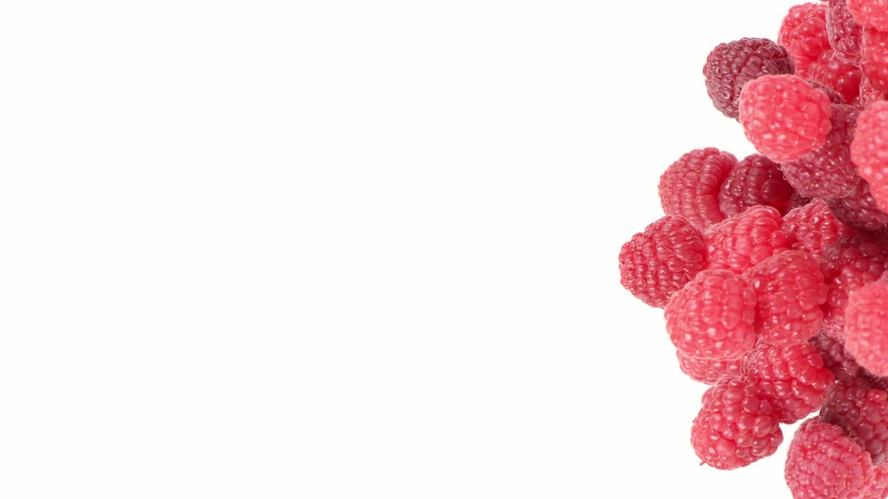 색 배경에 라즈베리 베리, 측면 뷰, 왼쪽과 중앙의 자유 공간, 루프 모션, 회전 360.