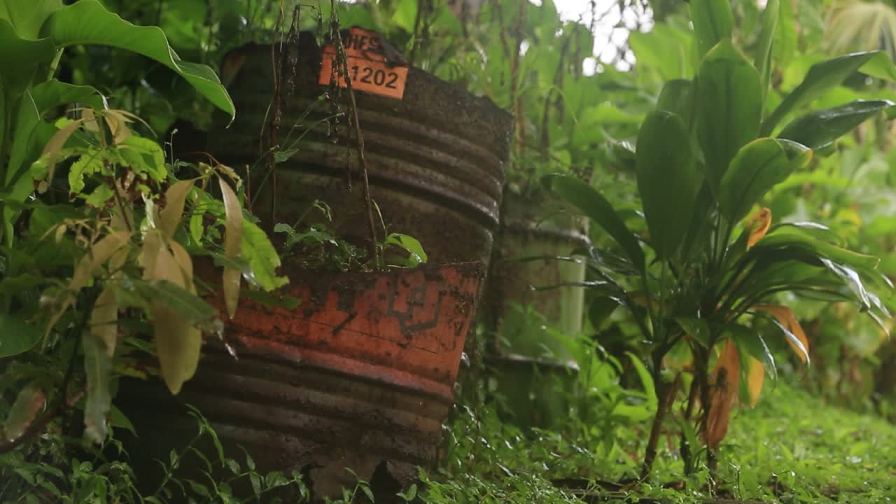 barril vacío en la jungla, basura basura y contaminación