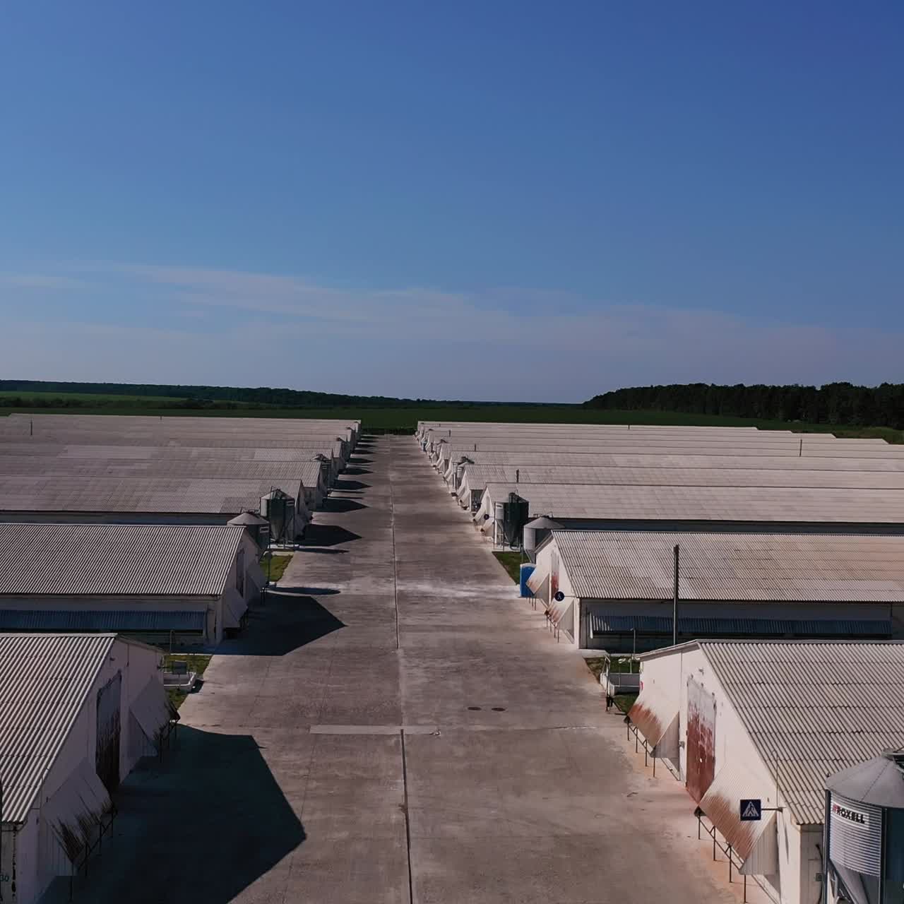 Long barns with grain silos beside at the large farming area. Spacious modern farming complex for organic animal breeding. View from above