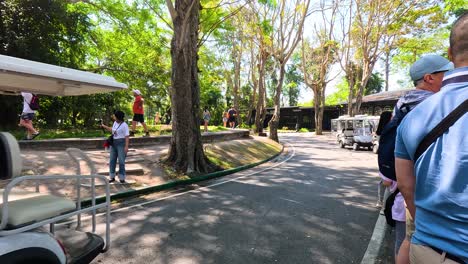 visitors enjoy a scenic golf cart tour