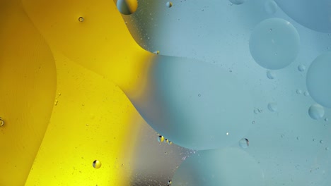 Macro-structure-of-colorful-oil-bubbles.-Chaotic-motion.-Abstract-multicolored-background.-Pattern