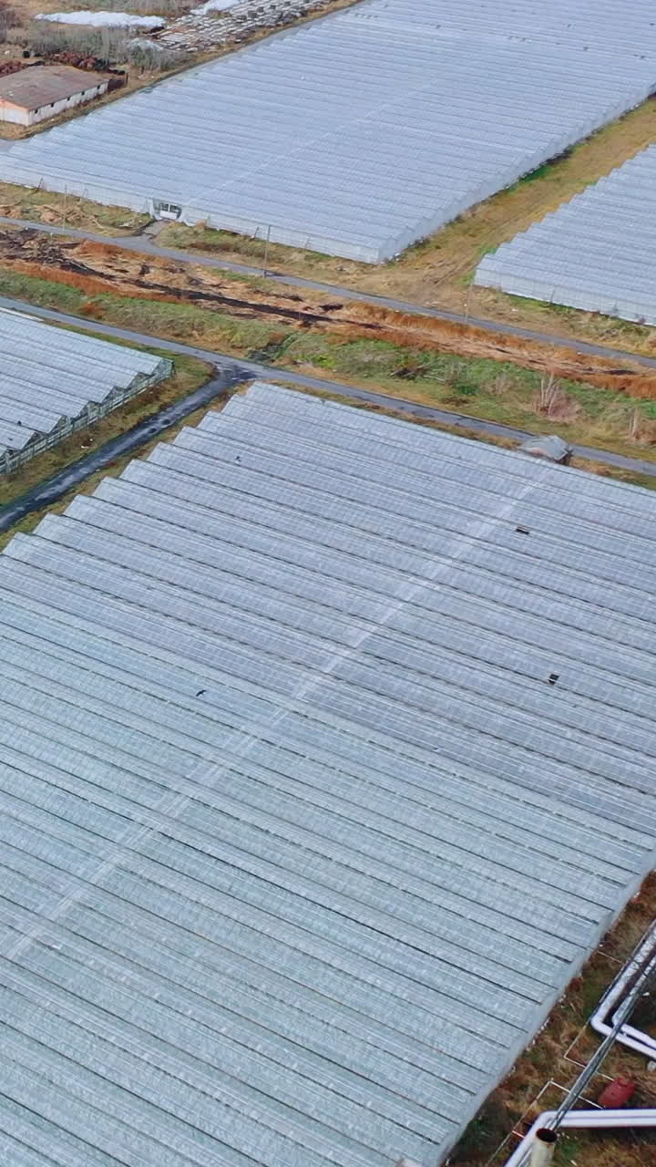 Drone flies above the big glass industrial greenhouses. Indoor farming, heat recovery and organic plant protection concept. Vertical video
