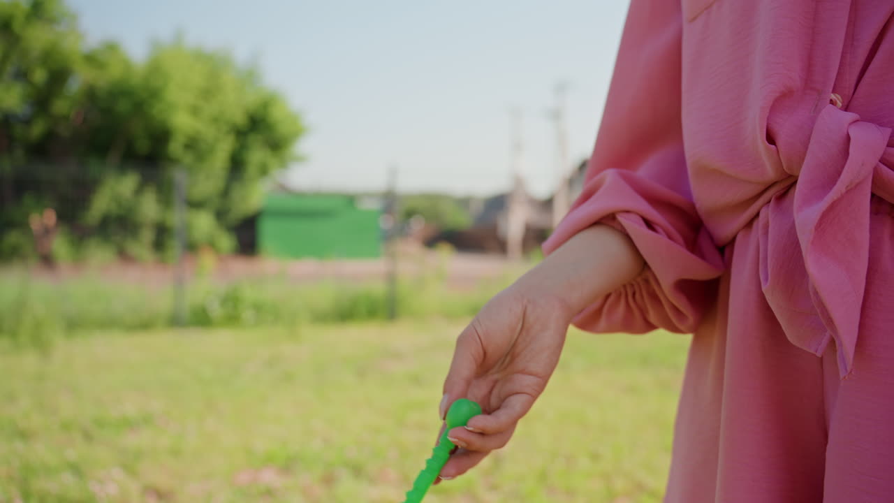 Dog Toy Preparation, Person Readies Green Toy For Launch, Closeup Of Individual Preparing To Throw Toy, Close Examination Of Person Preparing To Throw Green Dog Toy With Focus On Their Hands