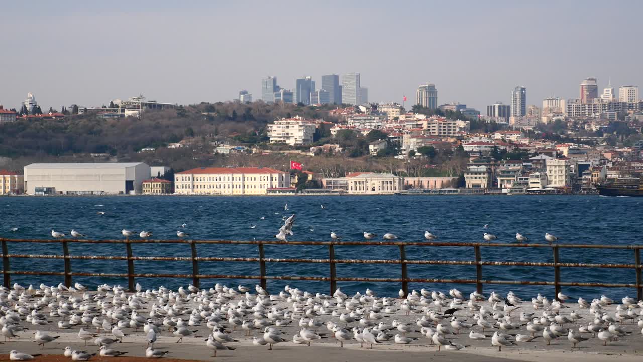 Paesaggio urbano di Istanbul con gabbiani su un molo