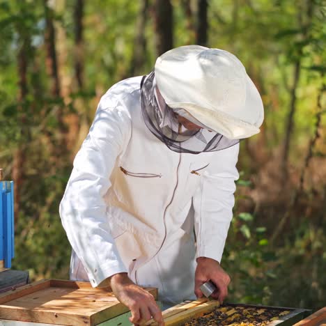 beekeeper is working with bees and beehives on the apiary. frames of a bee hive