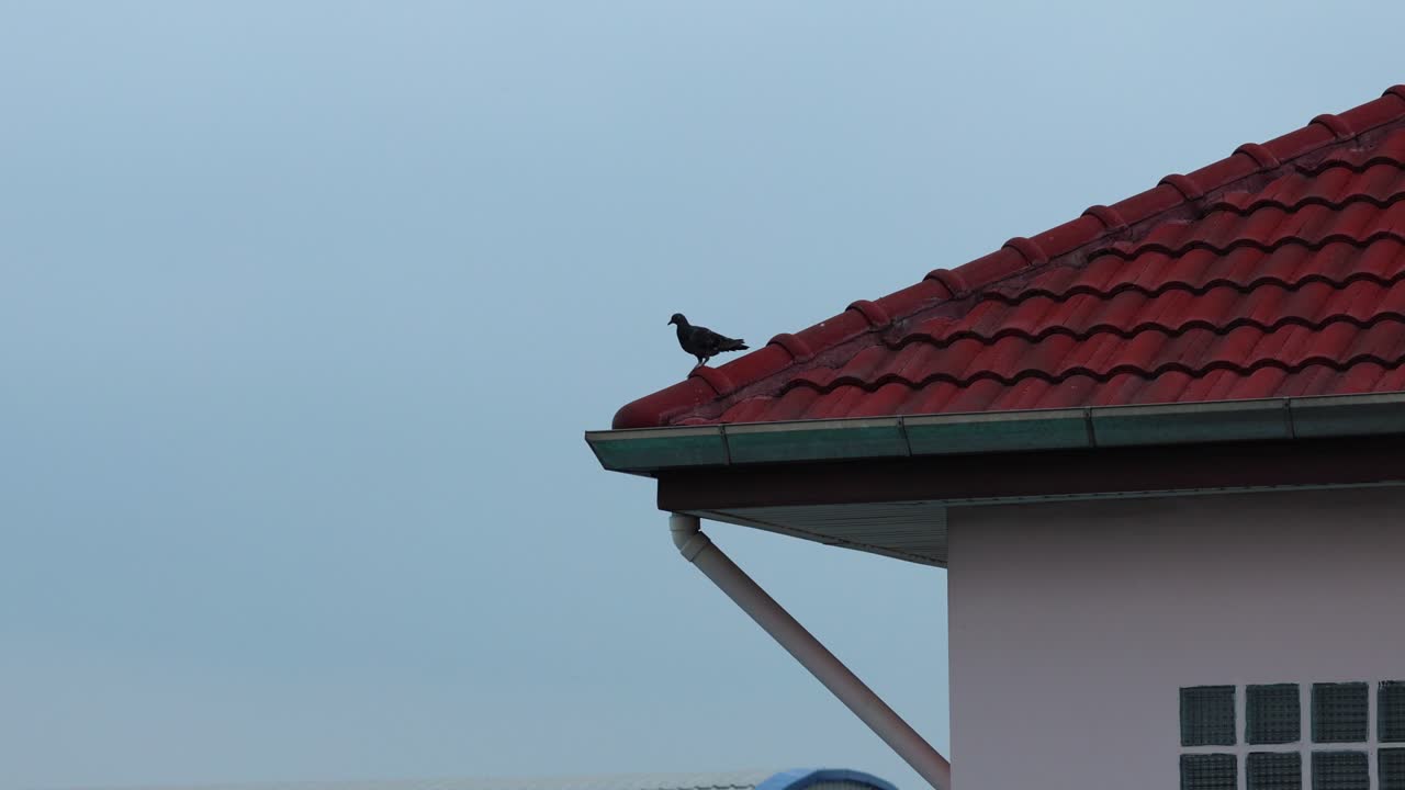 una casa con un techo rojo, escena sin cambios