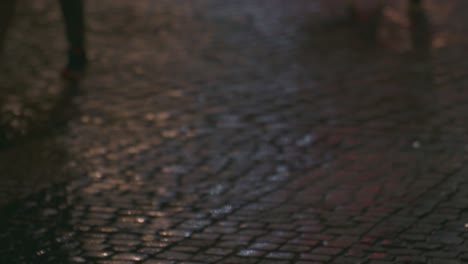 Beautiful-old-pavement-of-Metz,-France-with-the-reflection-of-christmas-illumination-while-peoples-are-passing-on-the-street