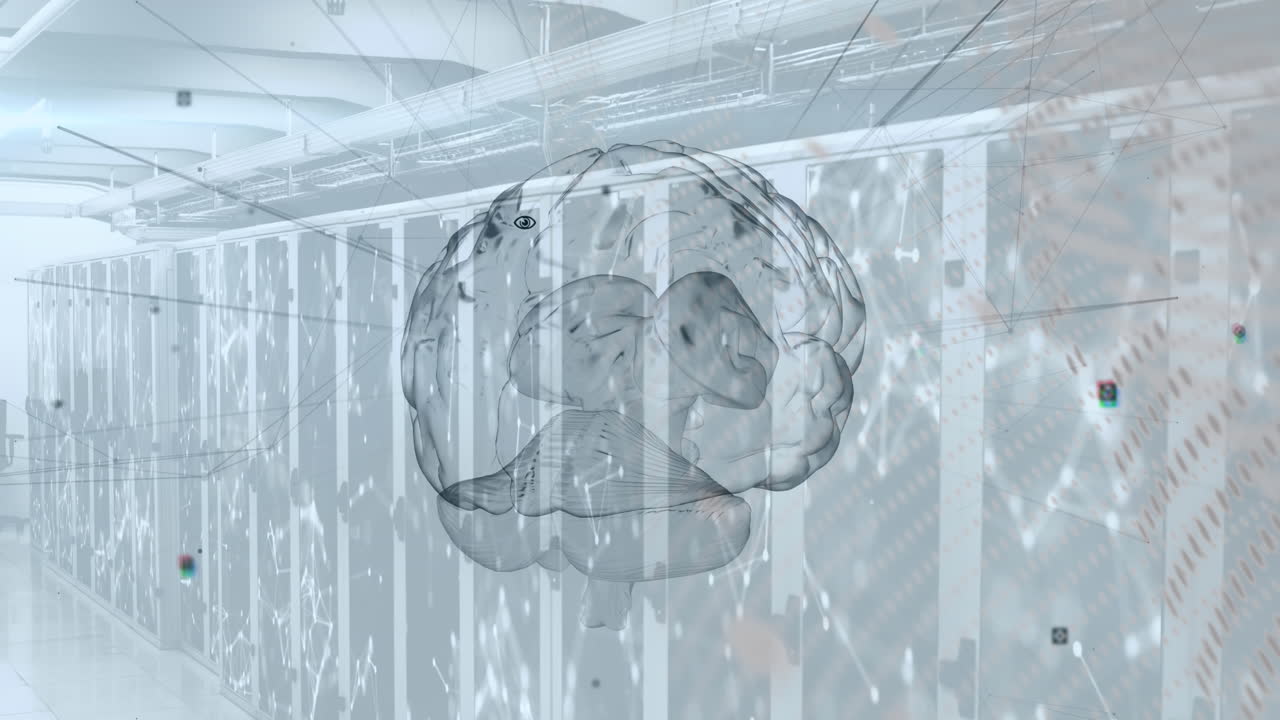 연결 네트워크와 브레인 오버 서버  ⁇ 의 애니메이션