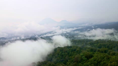 Una-Exuberante-Selva-Tropical-Con-Una-Mañana-Brumosa-Y-Vibrante-Como-Telón-De-Fondo-Frente-A-Majestuosas-Montañas