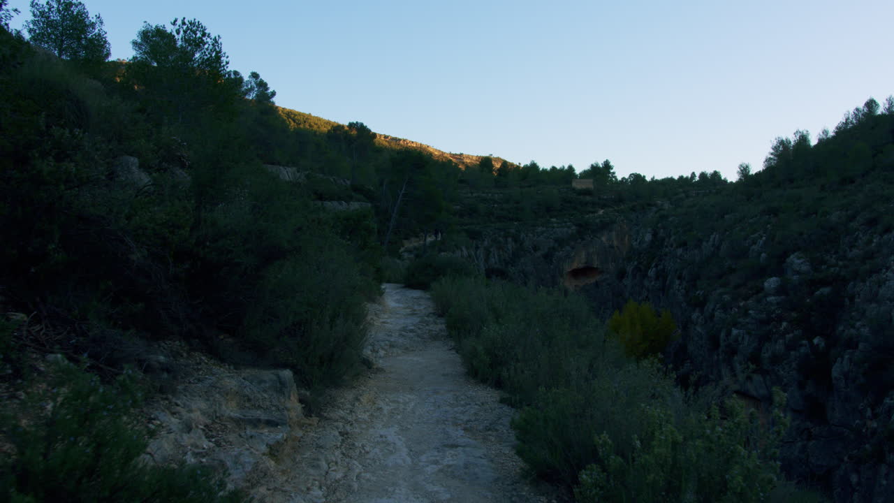 Mountain Trail Through Woods