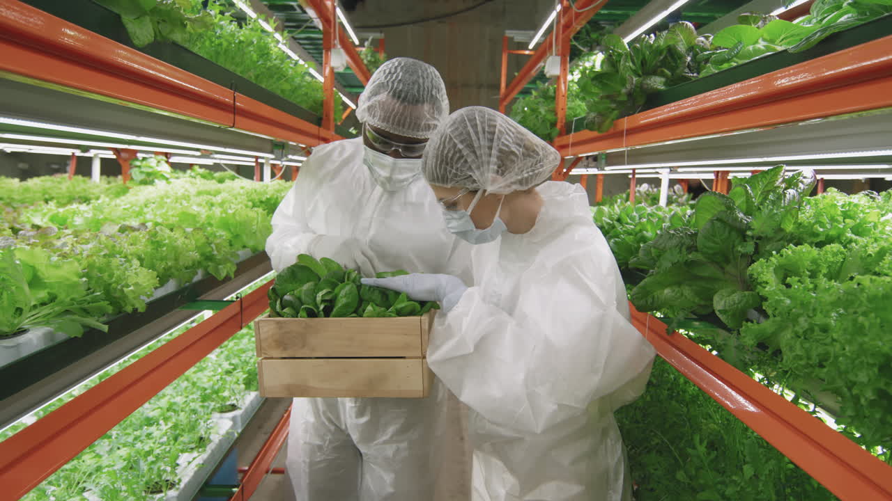 Agronomic Engineers Inspecting Green Seedlings