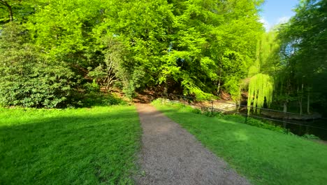 on the path in a green park