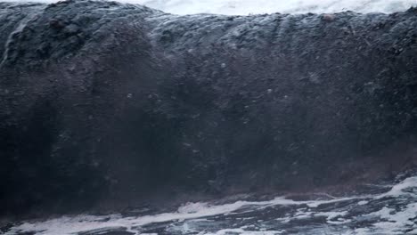 wave of black water and debris breaking