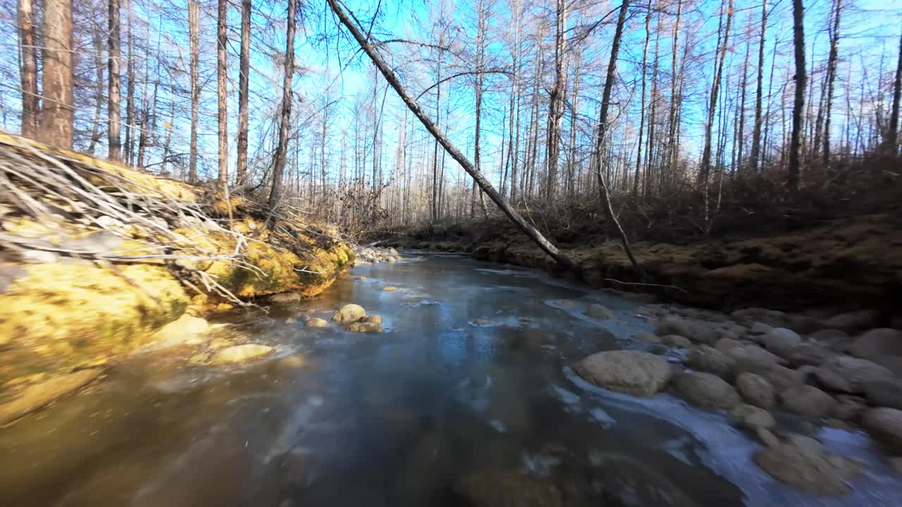 Frossen flod i en vinterskov