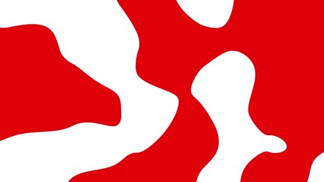 abstract animation of red shapes morphing on white background. seamless loop animated background, wallpaper.