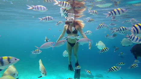 woman snorkeling with fish in tropical waters