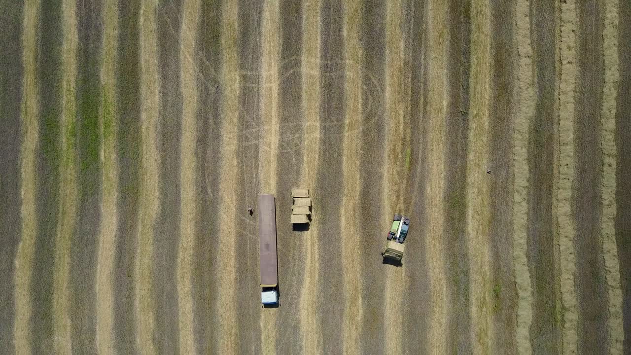 Tractor Collecting Straw Bales. Huge tractor collecting haystack in the field at nice blue sunny day