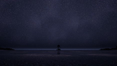 starry night beach scene