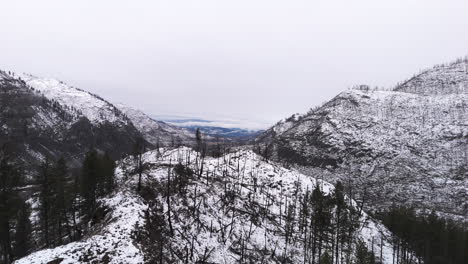 Un-Susurro-De-La-Marea-Invernal:-La-Nieve-Cubre-Las-Colinas