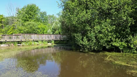 Verschmutzter-Teich-Mit-Wasserlinsen-Und-Algen,-Rotierendes-Panorama