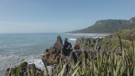 Vista-De-La-Costa,-Las-Rocas,-Las-Plantas-Y-El-Mar-En-Un-Día-Soleado-De-Verano-En-Punakaki-Pancake-Rocks,-Costa-Oeste,-Nueva-Zelanda