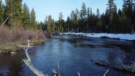 Fliege-Durch-Umgestürzten-Baum-über-Verschneiten-Fluss