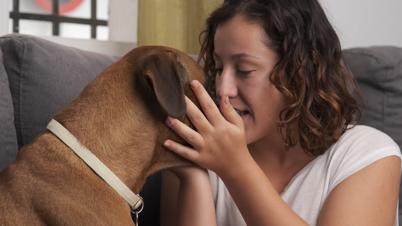 Woman petting her boxer dog on the couch