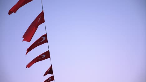 turkish flags
