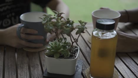 Mini-plant-on-a-wooden-table-beside-a-kombucha-glass-with-hands-on-a-mug-during-a-picnic-brunch