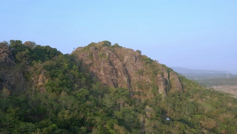 disparo de drones de árboles en crecimiento en la montaña del volcán contra el cielo azul en indonesia
