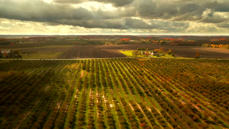 Imágenes-De-Drones-De-Un-Huerto-De-Cerezos-En-El-Norte-De-Michigan