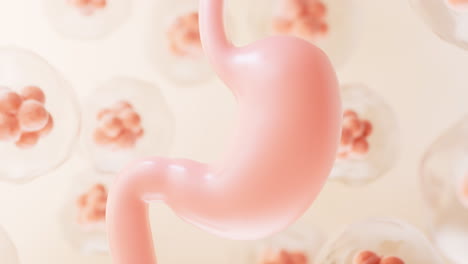 human stomach and cell background, 3d rendering.