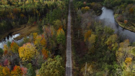 Ferrocarril-Rodeado-De-Bosques-Y-Ríos-En-Otoño,-Toma-Aérea