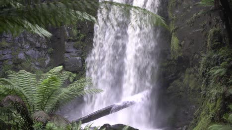 close up of waterfall rushing into river, hitting tree, green ferns surrounding