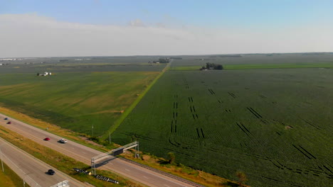 aerial drone shot of crops growing by a highway