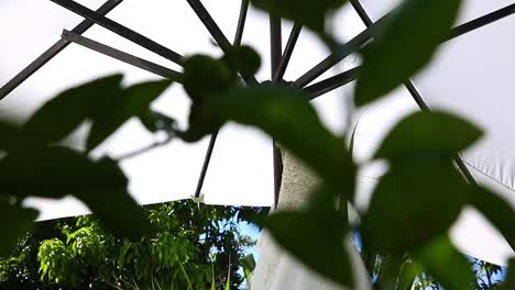 wedding dress hanging outdoors