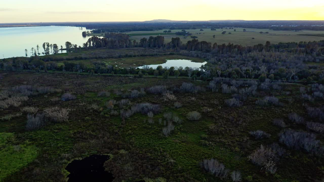 Un video aereo girato al tramonto cattura un ecosistema di zone umide con alberi sparsi, un piccolo stagno e un lago più grande, illustrando la transizione del paesaggio naturale da zona umida a campo aperto.