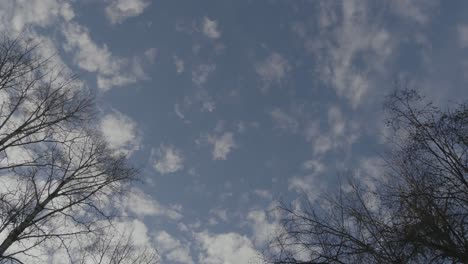 a quick time lapse of clouds rolling in over the blue sky with some trees framing the shot