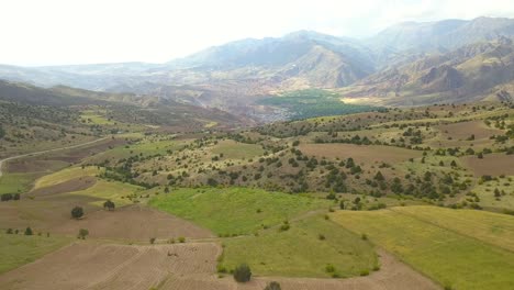 Una-Hermosa-Vista,-Campos-De-Trigo,-árboles-Silvestres,-áreas-Rurales,-Aire-Fresco-Y-Fresco,-Un-Día-Lleno-De-Paz