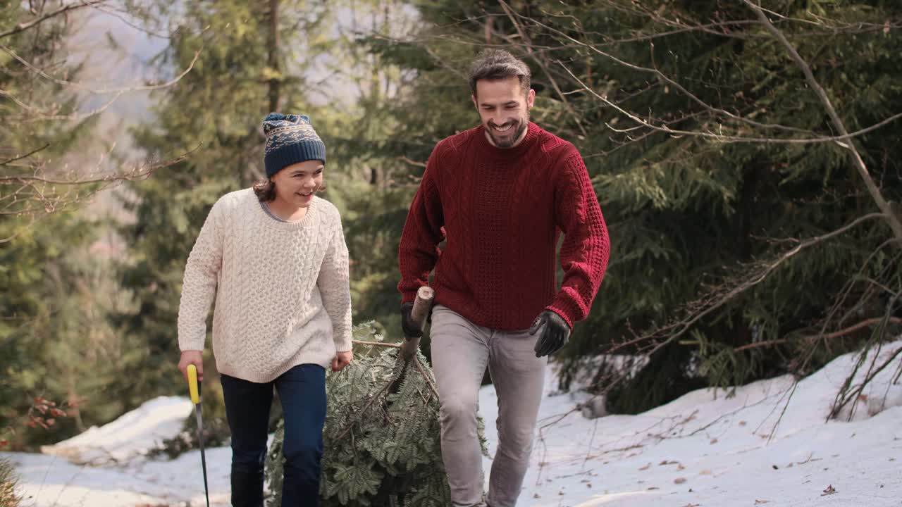 즐거운 아빠와 아들이 무거운 크리스마스 트리를 들고 있습니다.