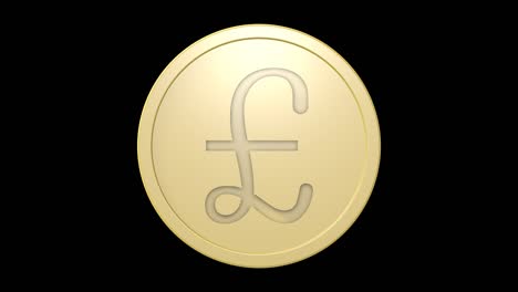 pound sign on golden coin