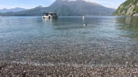 boat and ducks on calm lake como shore