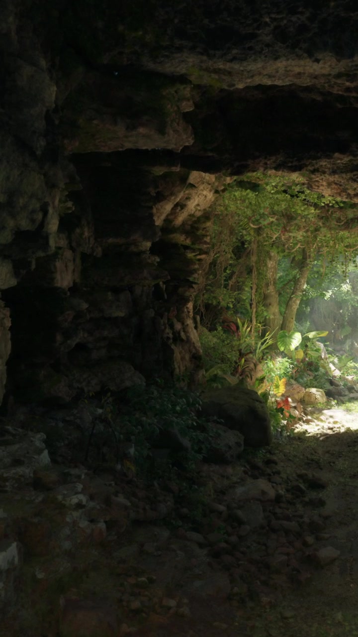 La luce filtra attraverso l'ingresso della grotta, rivelando piante e rocce di giorno.