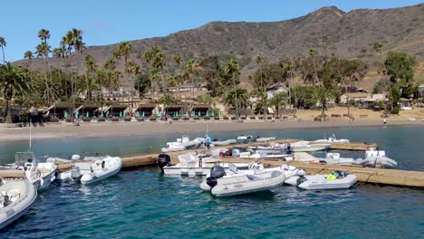 two harbors marina catalina island california with boats floating on harbor and beach with palm trees