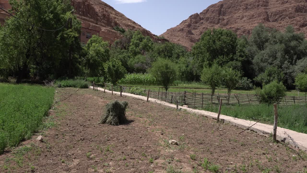 A field that has been cultivated with a remaining crop in the middle. There is a separation between the fields with wooden fences. It lies on the slope of a desert mountain