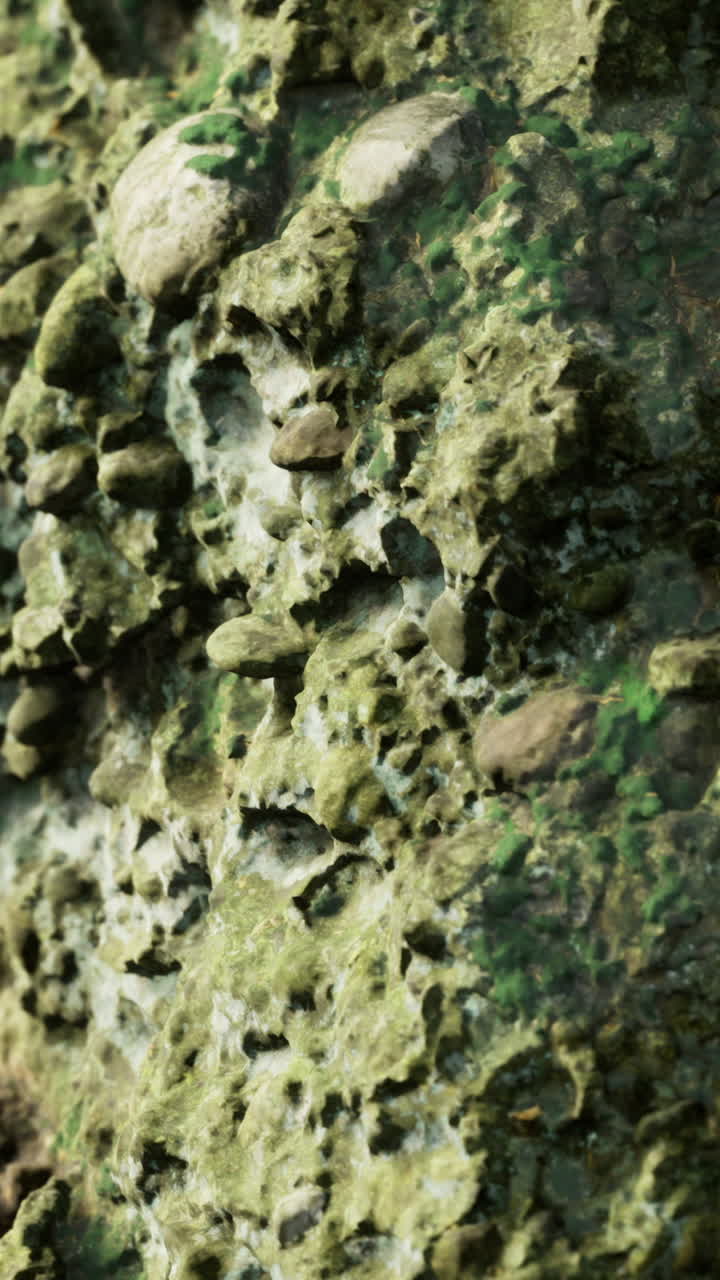 Vista ravvicinata di una superficie rocciosa testurizzata con varie pietre e muschio in natura