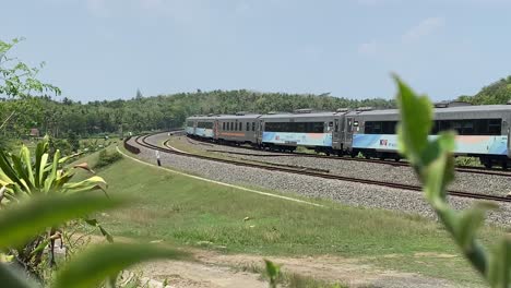 train on a scenic railway track