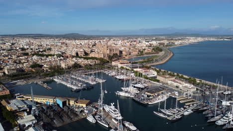 drone aerial above la seu, palma, mallorca, old town and palma harbour