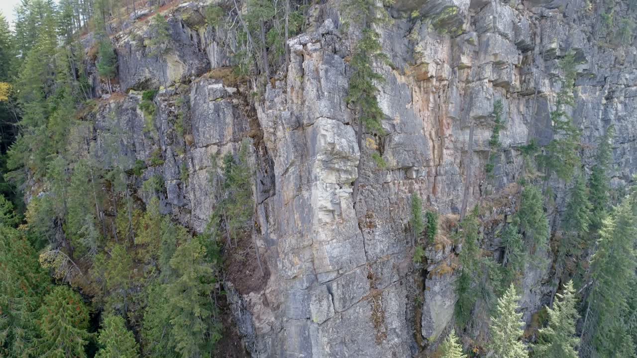 скалистая гора с зеленым лесом 4к